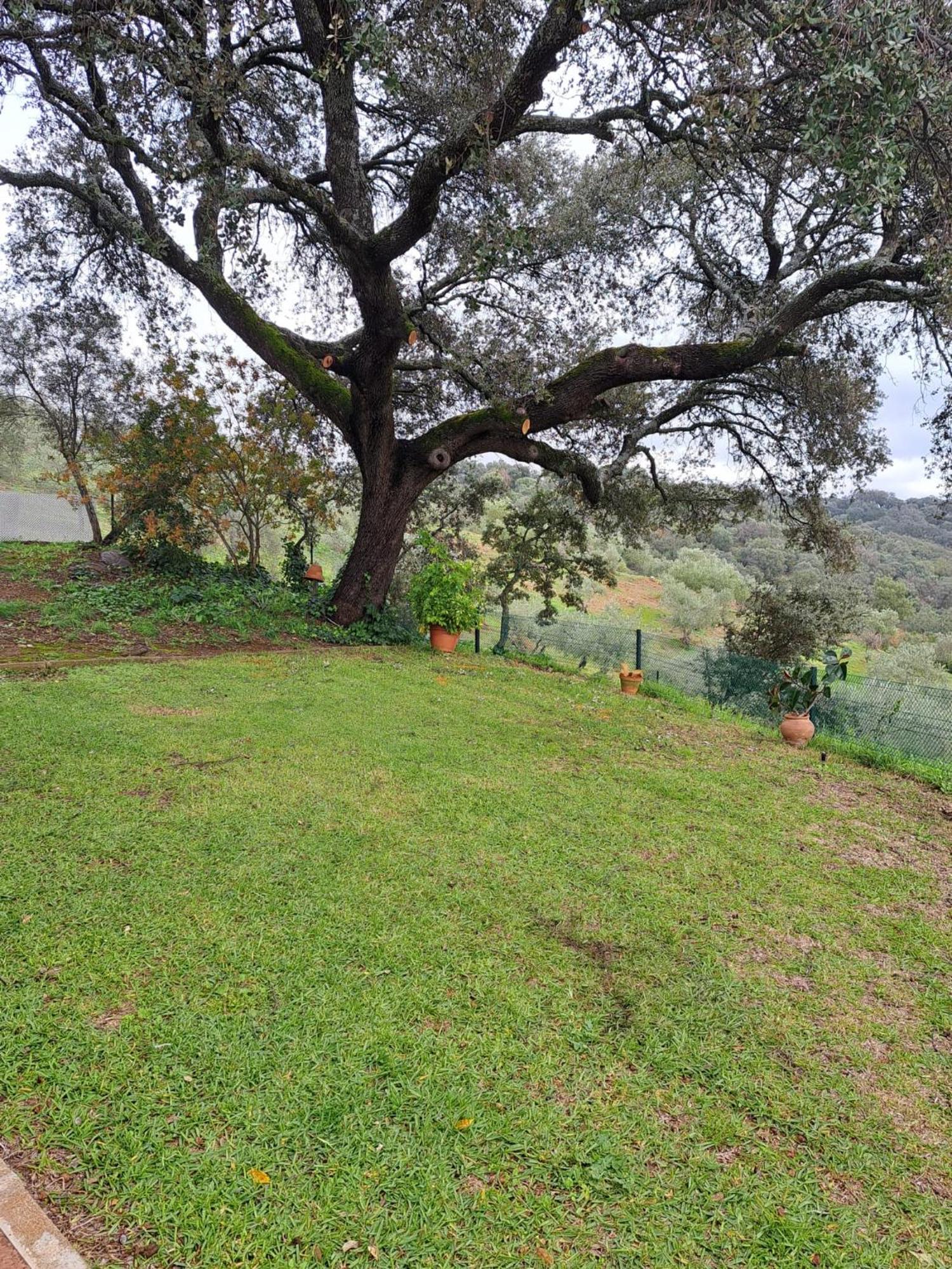 Casa Rural Villa Manuela Cazalla de la Sierra Exteriér fotografie